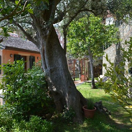 Ca Da Munta Bed And Breakfast Arenzano Exterior photo